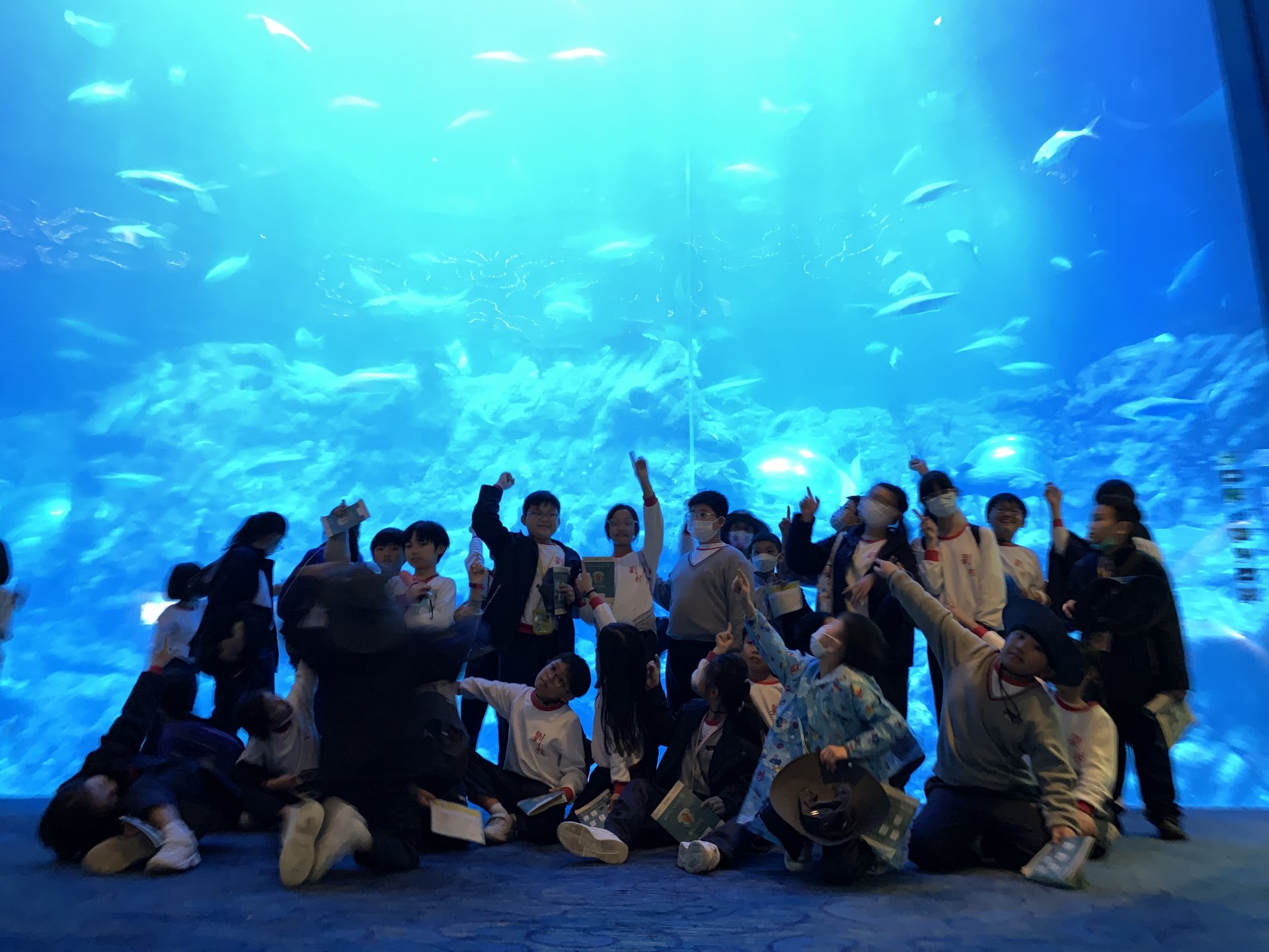 「海馬同學會」海洋公園考察